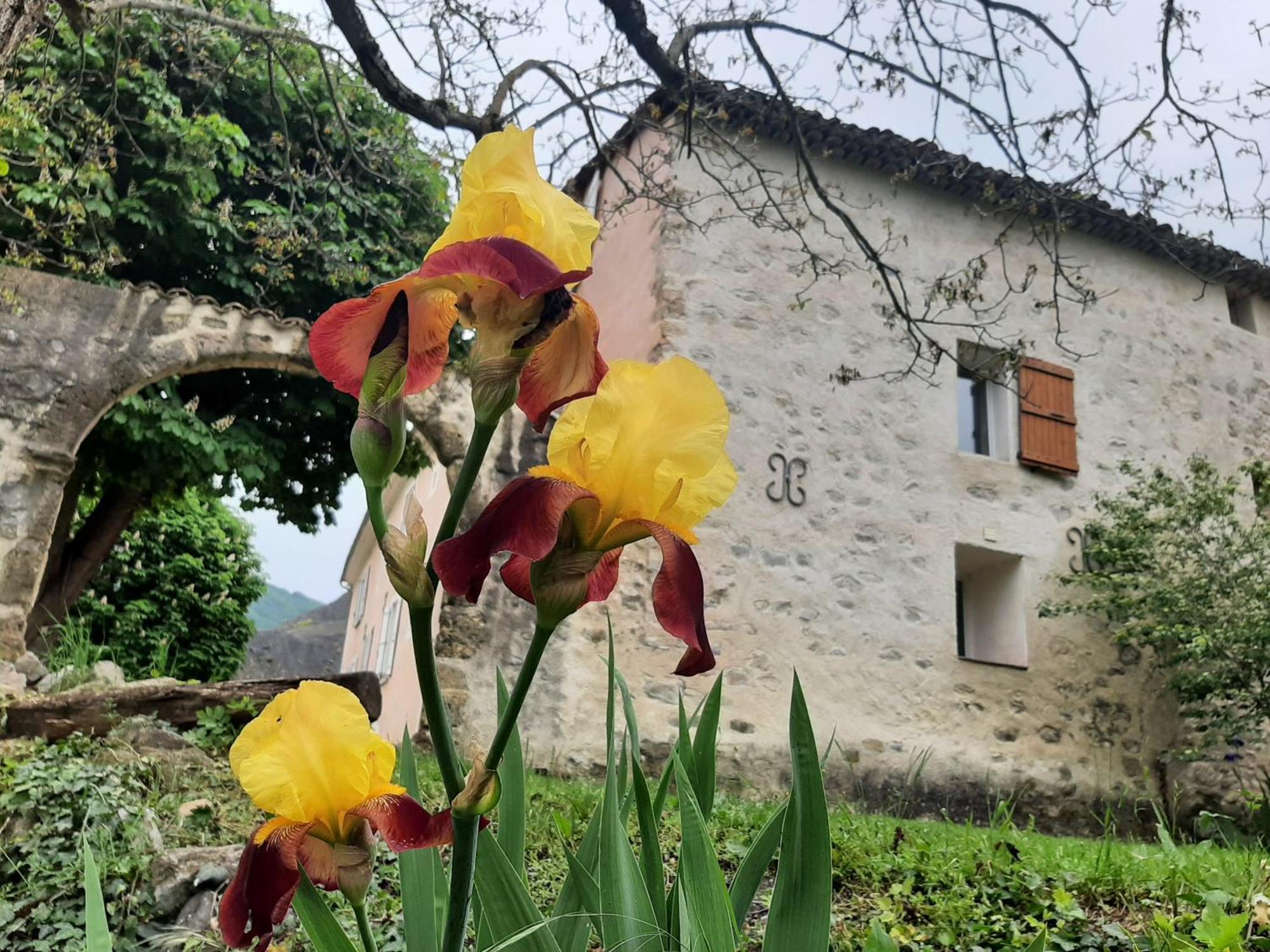 Les Du Chateau